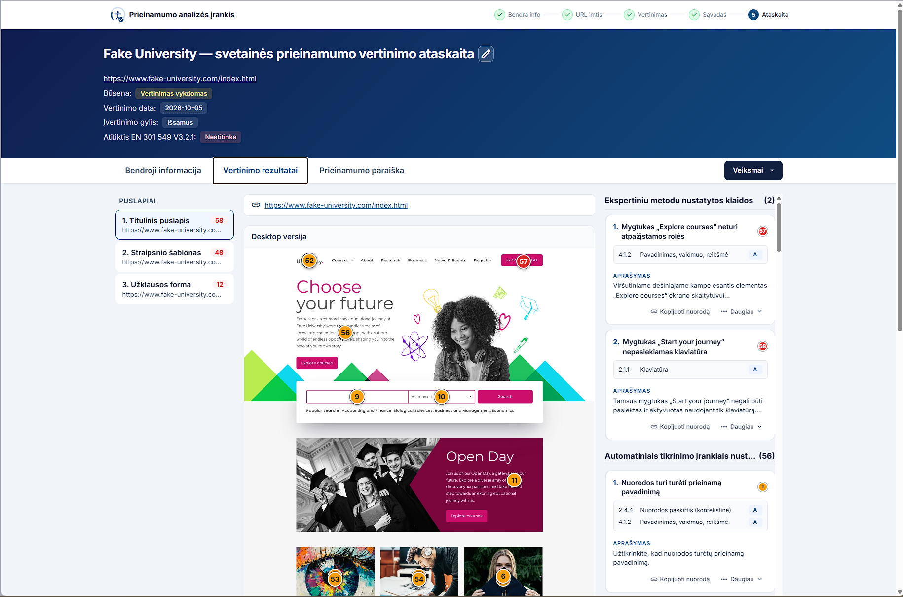 Vertinimo įrankio pavyzdinis langas: ataskaitos pavyzdys